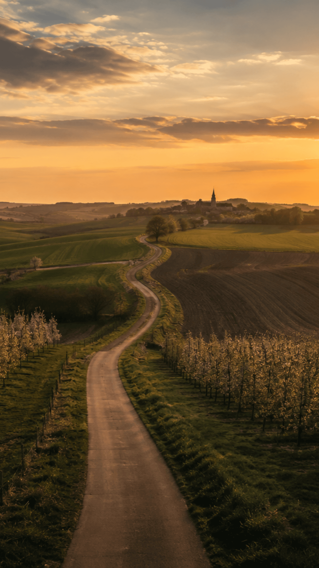Zonsondergang boven de Limburgse fruitstreek met een kronkelende landweg richting het dorp
